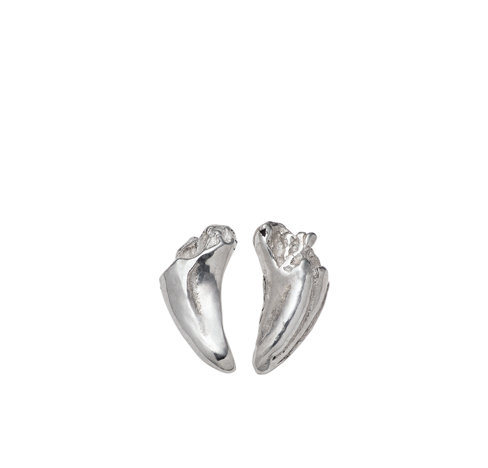 Cat Tooth Earrings
