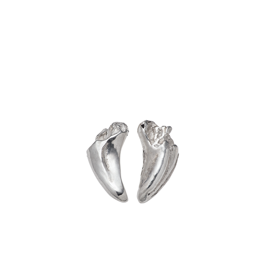 Cat Tooth Earrings