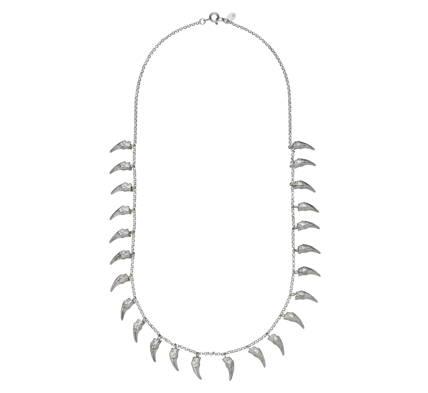 A delicate sterling silver necklace cast from the teeth of a cat. The necklace is on a rolo-link chain. Made by Violette Stehli using the lost wax casting technique.