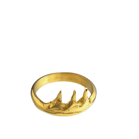 A spiky 18-karat gold ring made from casts of pike fish teeth. made by Violette Stehli.