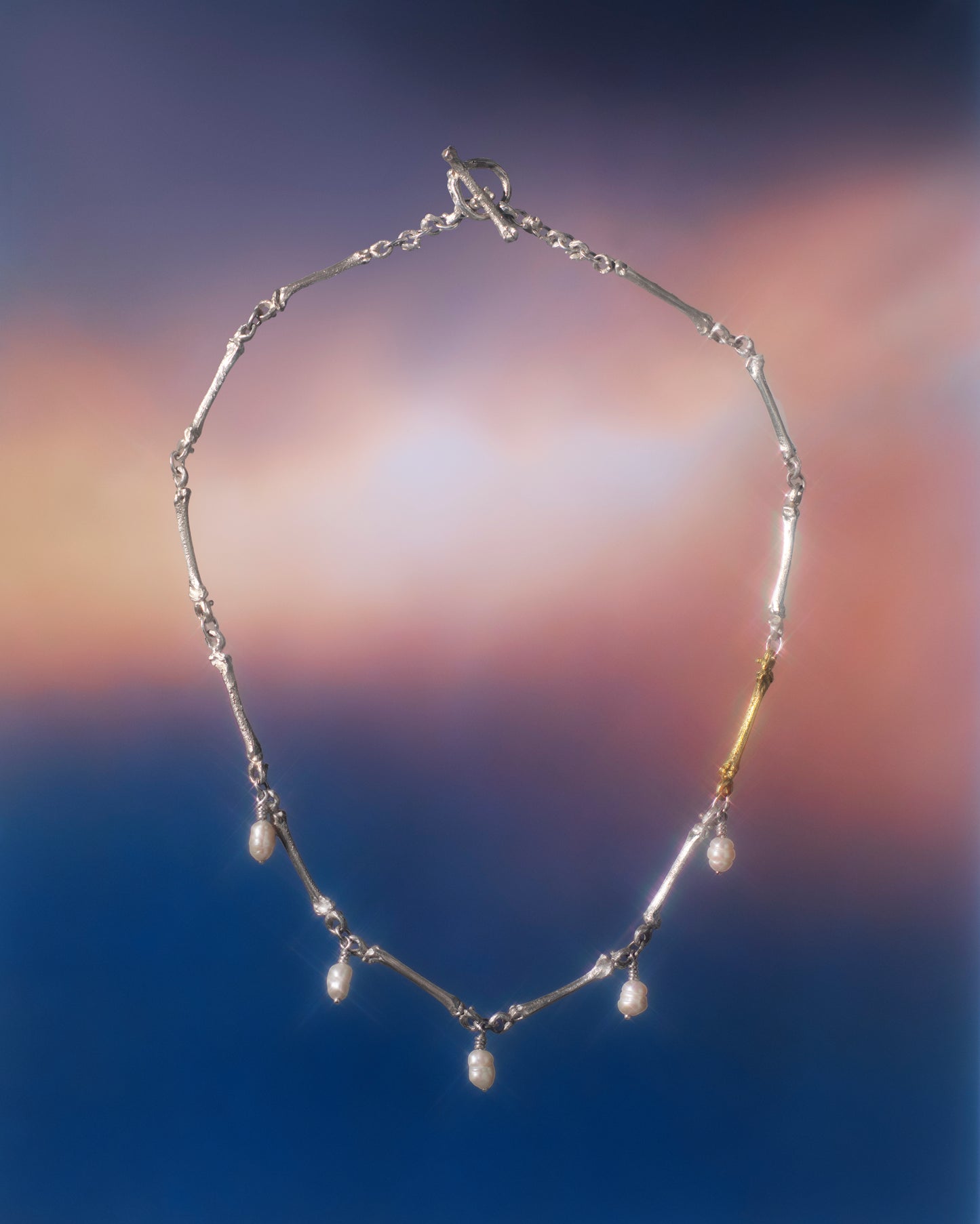 Bone Reliquary Necklace