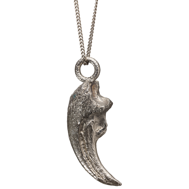 Dinosaur Claw