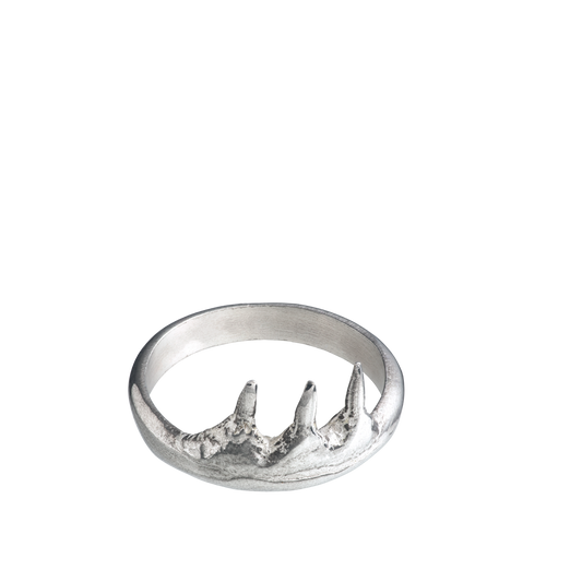 A spiky sterling silver ring made from casts of pike fish teeth. made by Violette Stehli.
