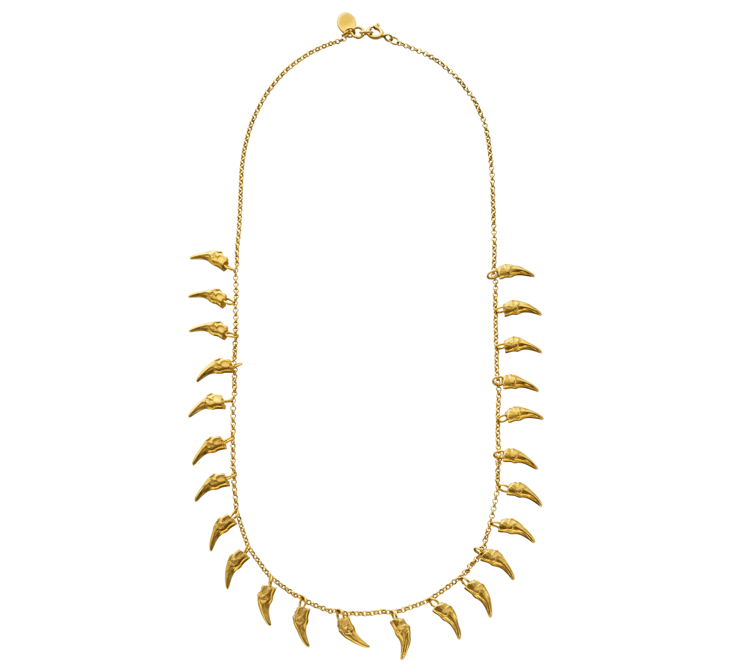 A delicate gold vermeil necklace cast from the teeth of a cat. The necklace is on a rolo-link chain. Made by Violette Stehli using the lost wax casting technique.