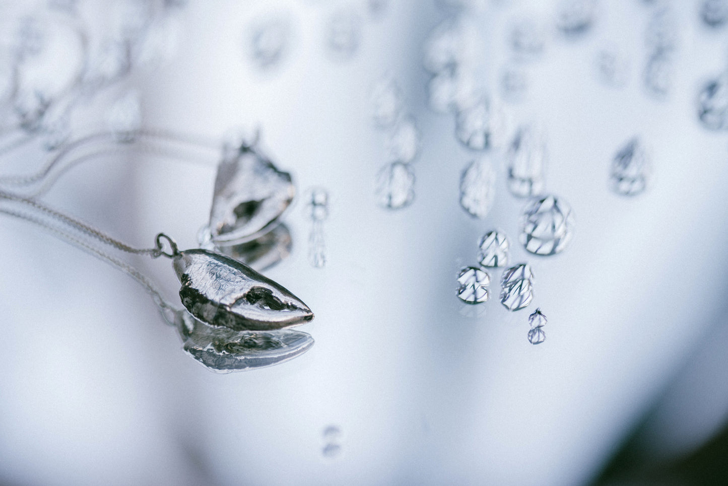 A close up shot of a lariat necklace made from casts of crab claws by Violette Stehli Phot by Cécile Chabert.