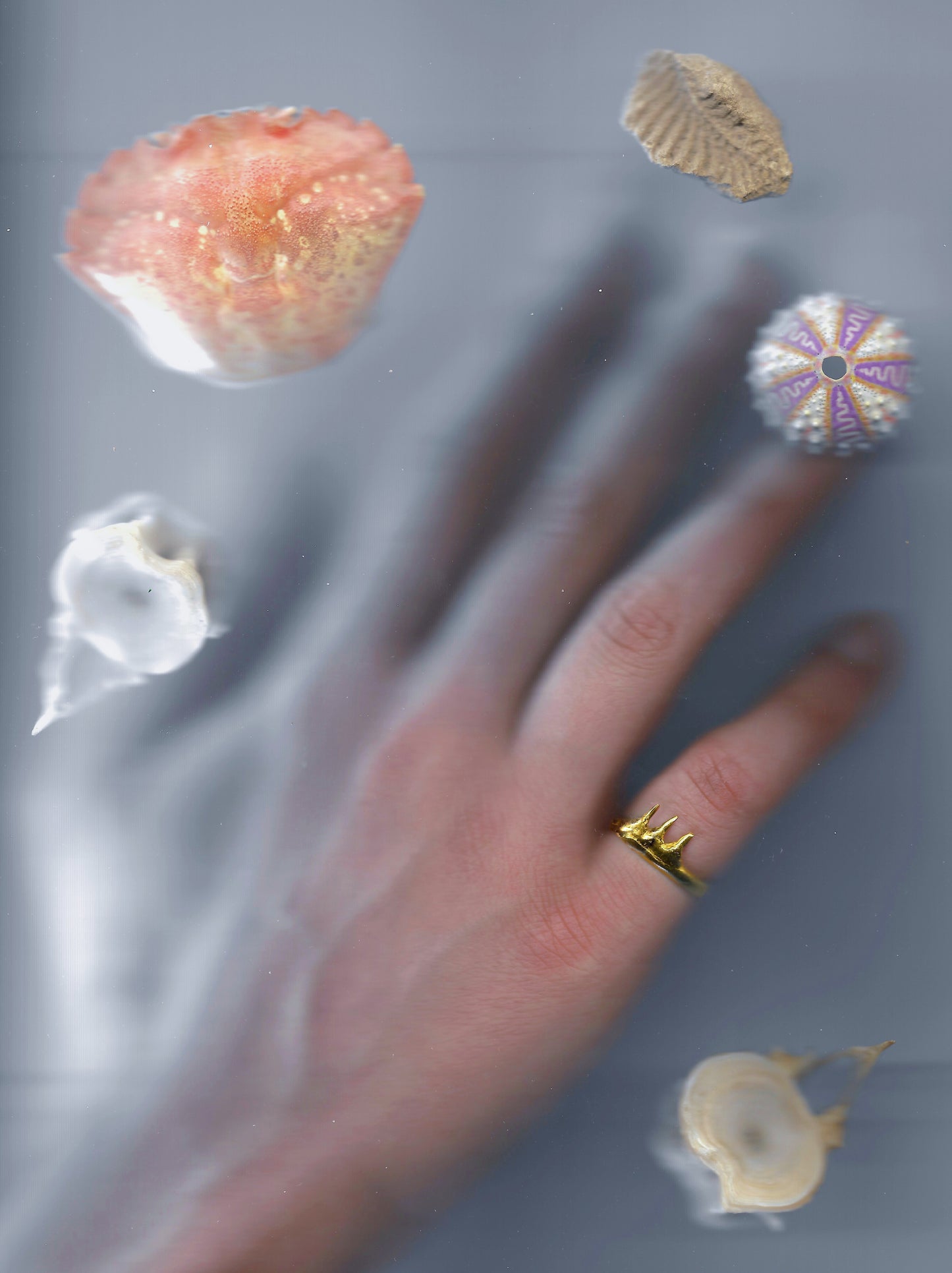 A spiky 18-karat gold ring made from casts of pike fish teeth. made by Violette Stehli.