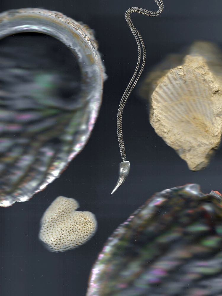 A sterling silver pendant charm cast from a pike tooth using the lost wax casting technique. The pendant is on a rolo-link chain. Violette Stehli.