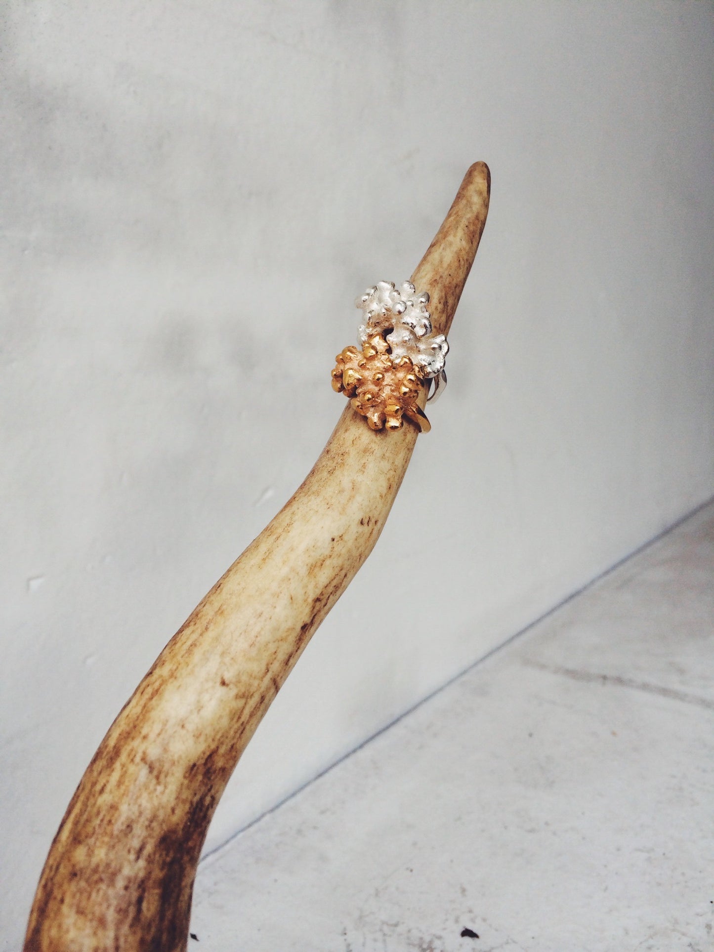 Two rings cast from coral fragments using the lost wax casting technique. Violette Stehli