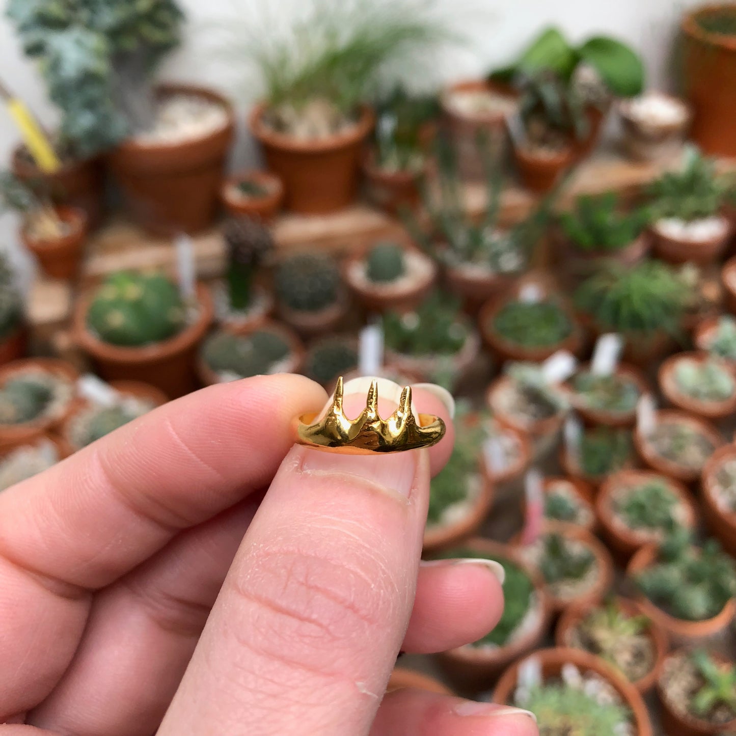 Esox Ring