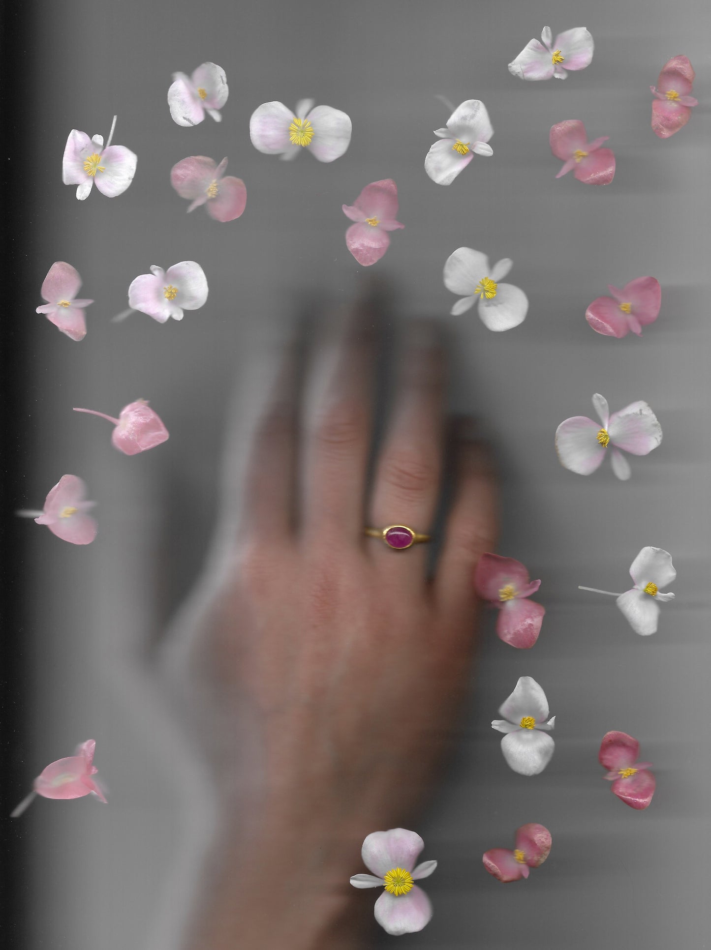 Iris Ring