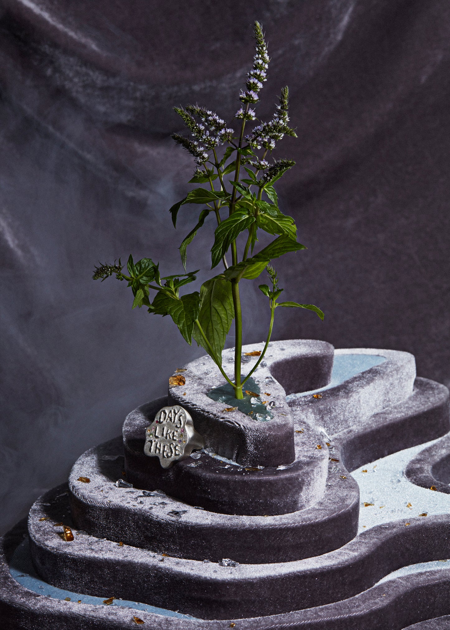 Violette Stehli Days Like These Ring. Photo by Elodie Farge and Pauline Furman.