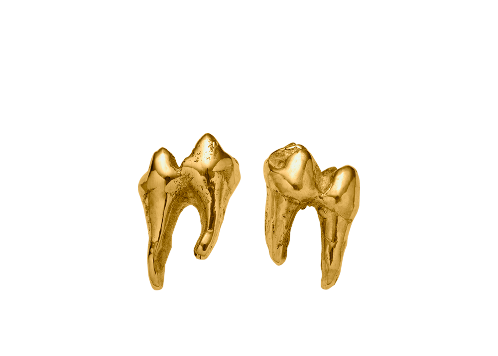 Possum Tooth Earrings