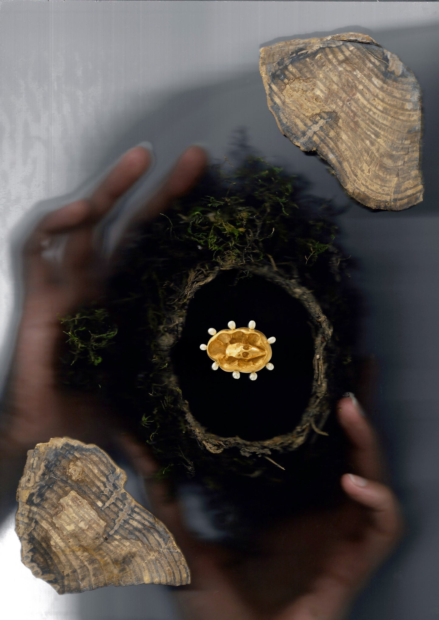 A gold vermeil ring with pearls and a sparrow skull. Evocative of medieval religious reliquaries. Hand sculpted by Violette Stehli.