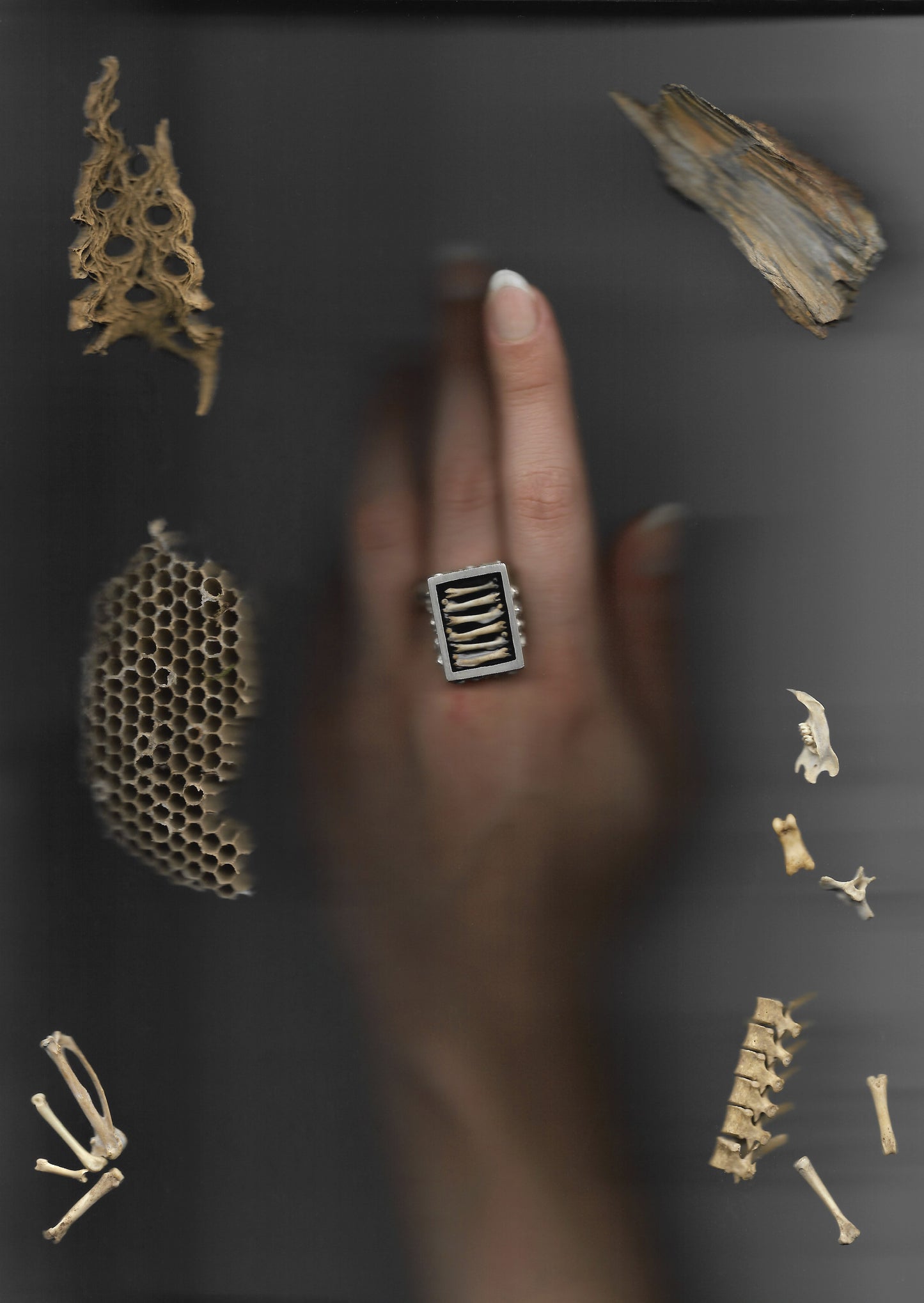 A reliquary ring by Violette Stehli.