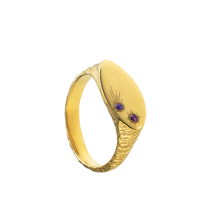 a delicate yet tough, handmade unisex ring for everyday wear. Made from Responsible Jewelry Council certified 18-karat gold and set with two precious stones. Violette Stehli.