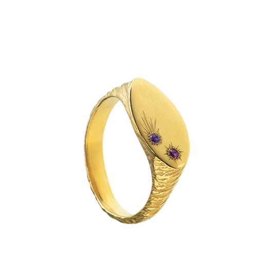 a delicate yet tough, handmade unisex ring for everyday wear. Made from Responsible Jewelry Council certified 18-karat gold and set with two precious stones. Violette Stehli.