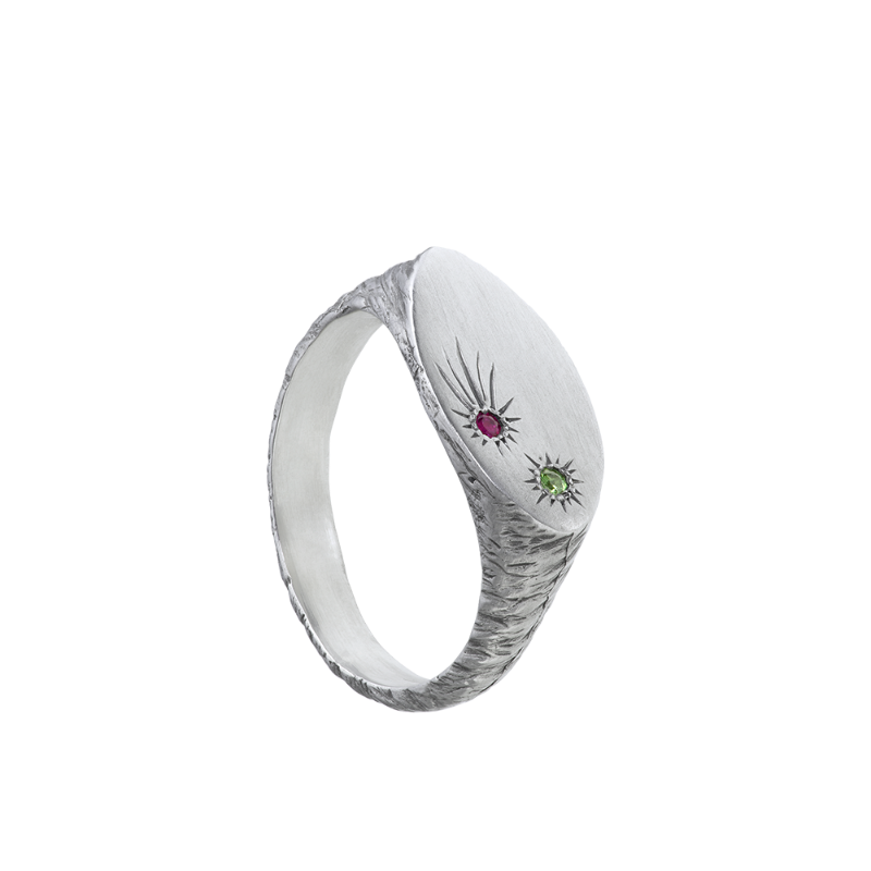 a delicate yet tough, handmade unisex ring for everyday wear. Made from Responsible Jewelry Council certified sterling silver and set with two precious stones. Violette Stehli.
