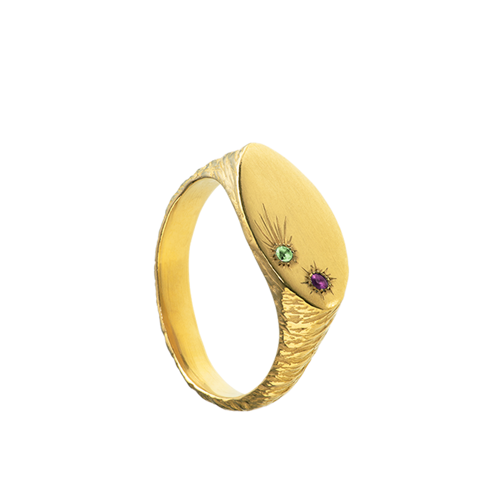 a delicate yet tough, handmade unisex ring for everyday wear. Made from Responsible Jewelry Council certified 18-karat gold and set with two precious stones. Violette Stehli.