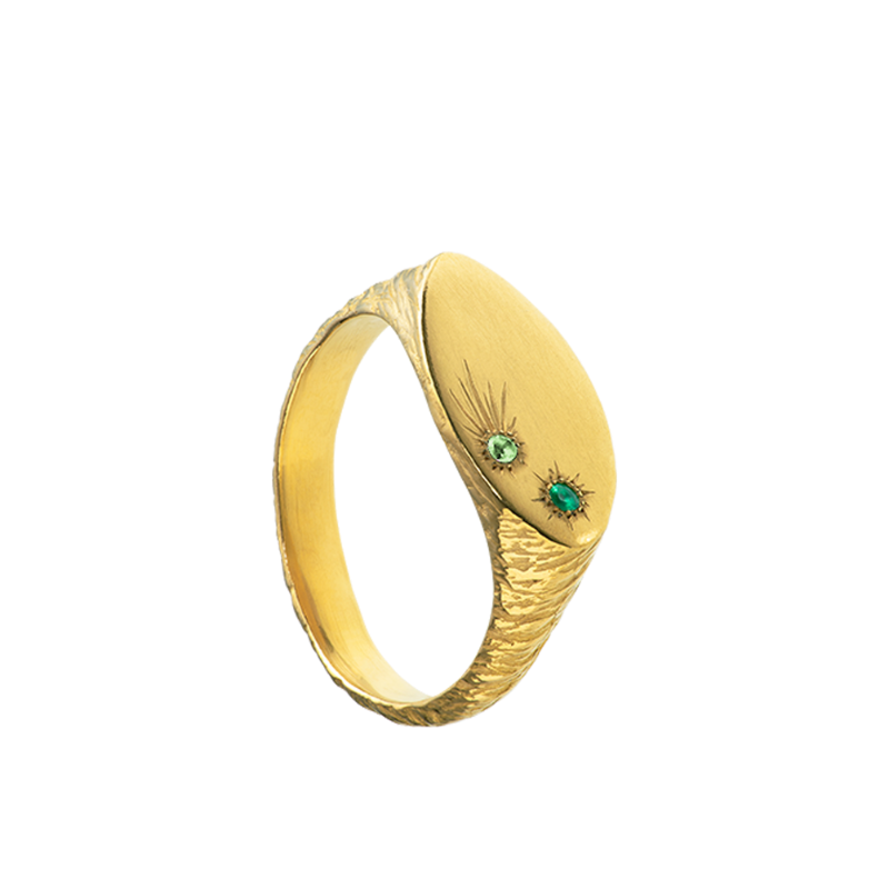 a delicate yet tough, handmade unisex ring for everyday wear. Made from Responsible Jewelry Council certified 18-karat gold and set with two precious stones. Violette Stehli.