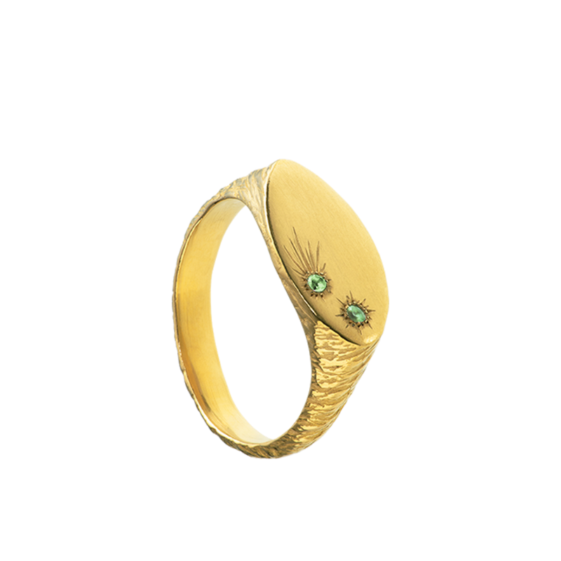 a delicate yet tough, handmade unisex ring for everyday wear. Made from Responsible Jewelry Council certified 18-karat gold and set with two precious stones. Violette Stehli.