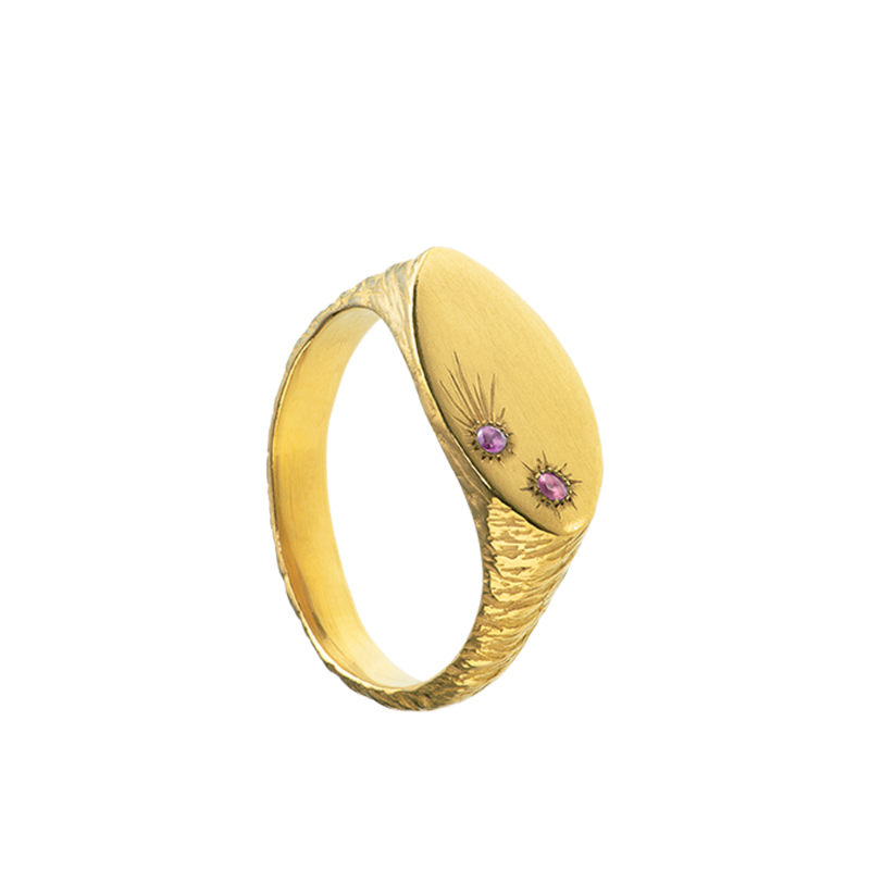 a delicate yet tough, handmade unisex ring for everyday wear. Made from Responsible Jewelry Council certified 18-karat gold and set with two precious stones. Violette Stehli.