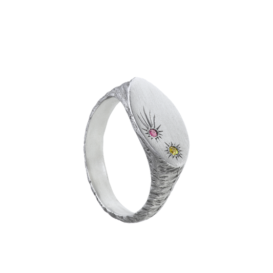 a delicate yet tough, handmade unisex ring for everyday wear. Made from Responsible Jewelry Council certified sterling silver and set with two precious stones. Violette Stehli.