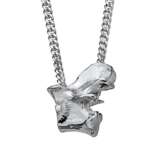A sterling silver vertebra on a curb-link chain. Violette Stehli.