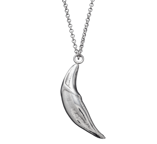A sterling silver cast of a coyote fang made using the lost wax casting technique on a rolo-link chain by Violette Stehli.