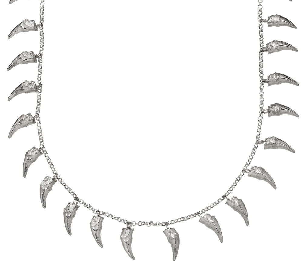 A close-up of a delicate sterling silver necklace cast from cat teeth . The necklace is on a rolo-link chain. Made by Violette Stehli using the lost wax casting technique.