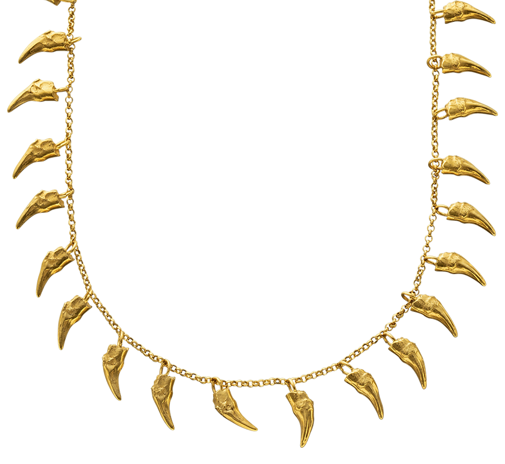 A close-up of a delicate gold vermeil necklace cast from the teeth of a cat. The necklace is on a rolo-link chain. Made by Violette Stehli using the lost wax casting technique.