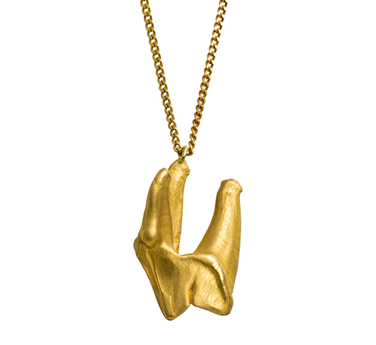 18-karat gold pendant charm cast from a wolf's tooth on a rolo-link chain. Handmade by Violette Stehli.