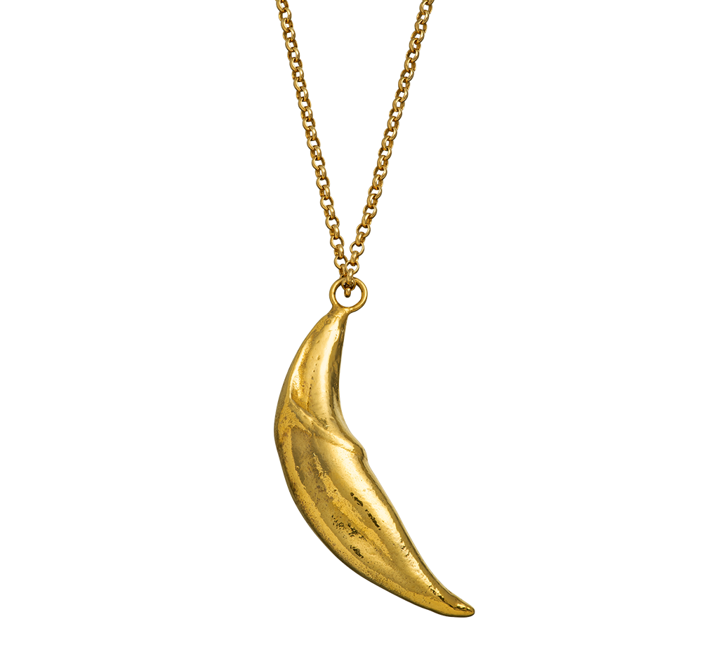 A Responsible Jewellery Council certified 18-karat gold pendant cast from a coyote tooth. Handmade using the lost-wax casting technique.