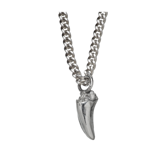 A delicate and small sterling silver pendant cast from a cats tooth using the lost wax casting technique on a curb-link chain.