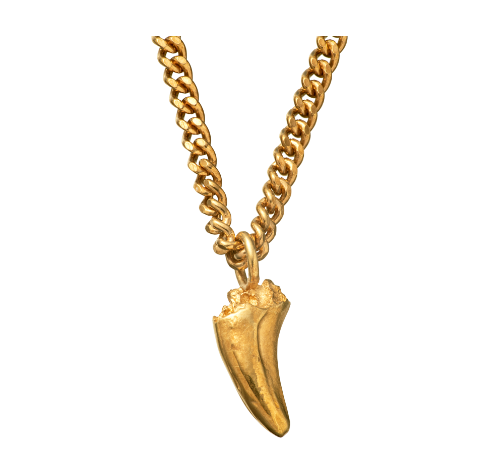 Cat tooth necklace online