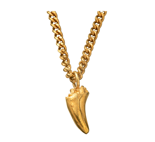 A delicate and small 18-karat gold pendant cast from a cats tooth using the lost wax casting technique on a curb-link chain.