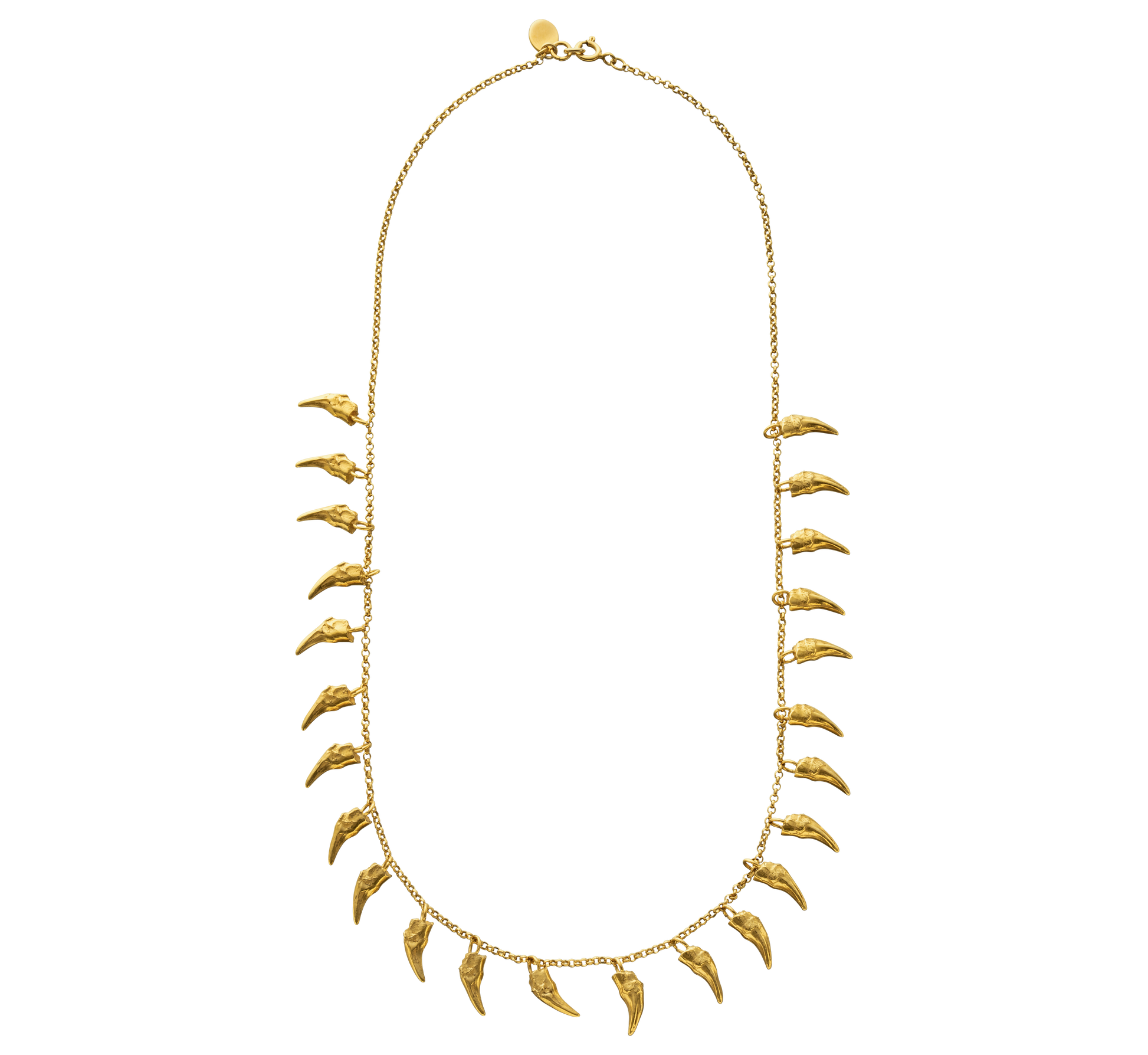 A delicate gold vermeil necklace cast from the teeth of a cat. The necklace is on a rolo-link chain. Made by Violette Stehli using the lost wax casting technique.