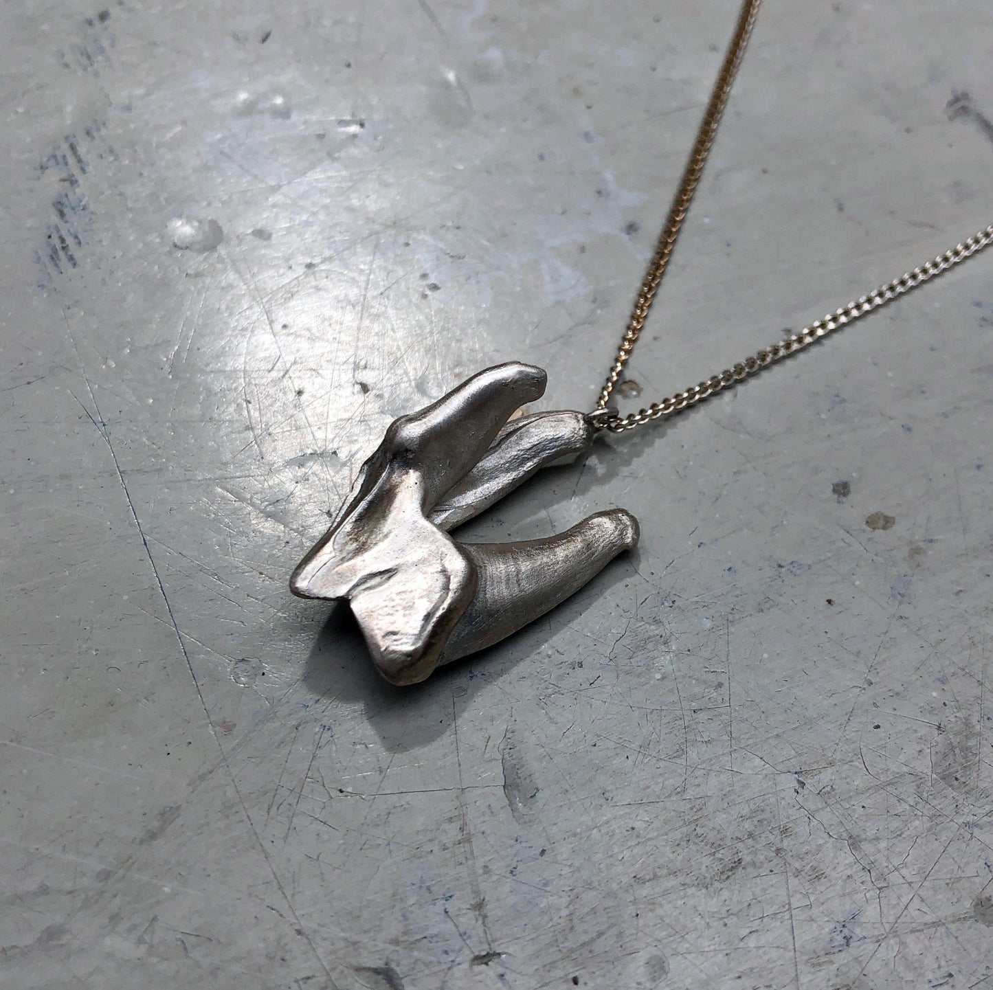 sterling silver pendant charm cast from a wolf's tooth on a rolo-link chain. Handmade by Violette Stehli.