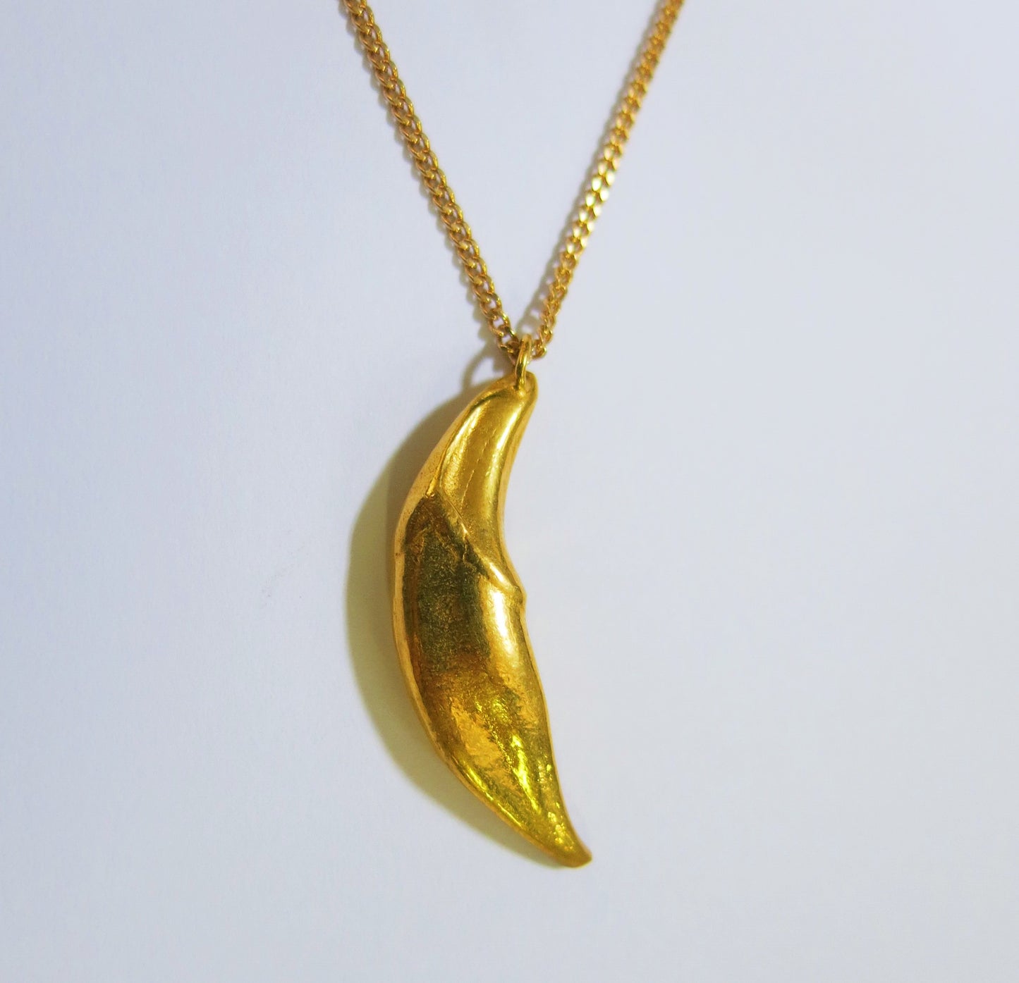 Coyote Fang Pendant