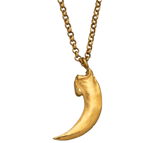 A close-up image of a bat claw pendant on a rolo link chain. Made by Violette Stehli using the lost wax casting techique.