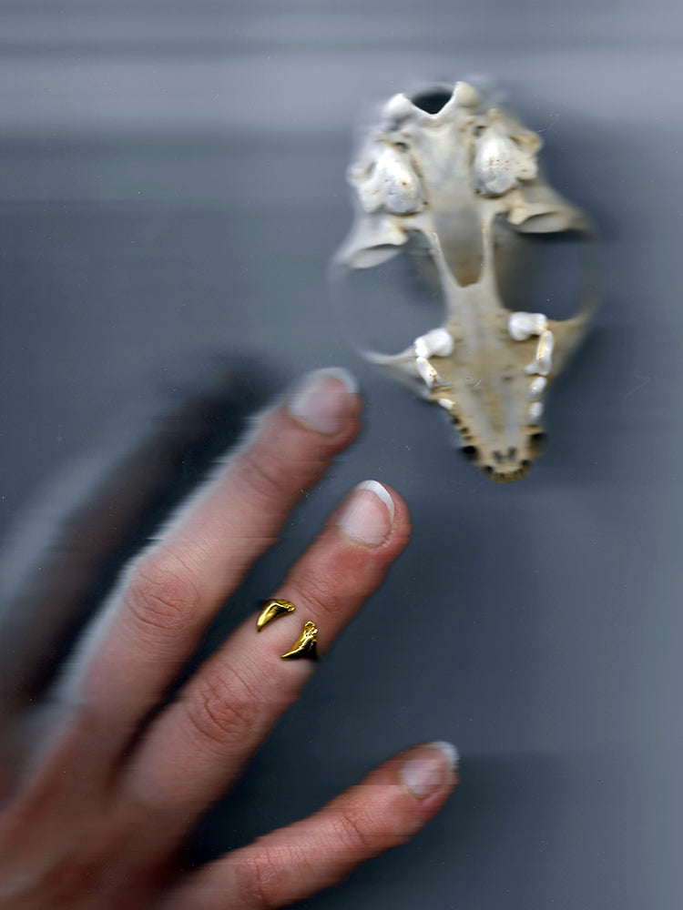 Cat Tooth Knuckle Ring