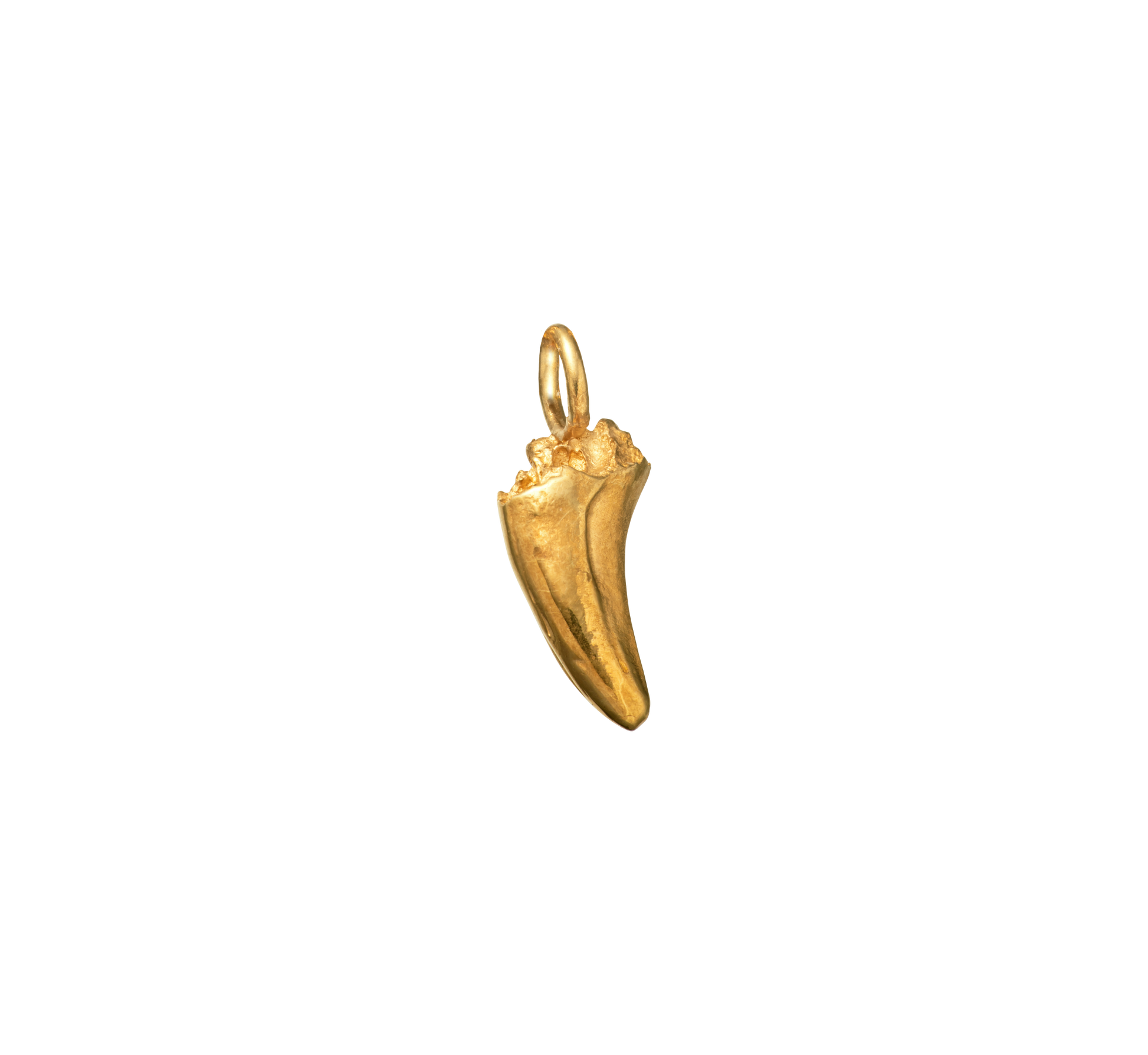 A delicate and small 18-karat gold pendant cast from a cats tooth using the lost wax casting technique.