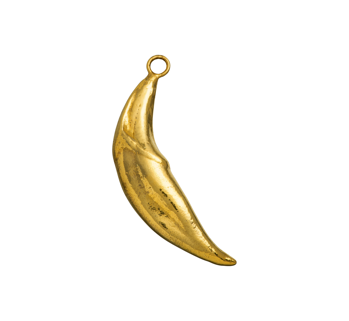 Coyote Fang Pendant