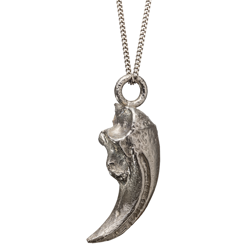 A silver-toned metal pendant necklace made from the cast of a dinosaur claw, hanging from a matching chain against a plain white background.