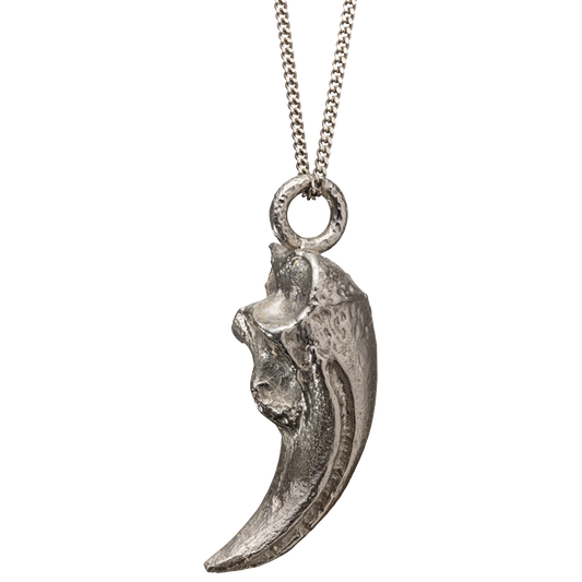 A silver-toned metal pendant necklace made from the cast of a dinosaur claw, hanging from a matching chain against a plain white background.