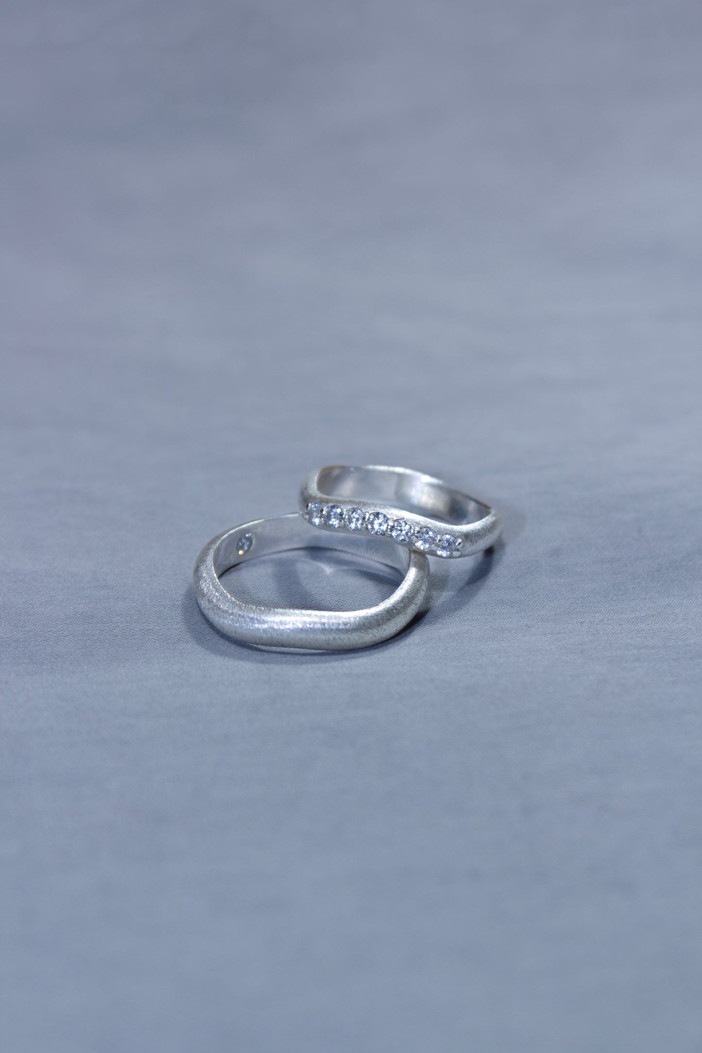 Alliances Vena Amoris