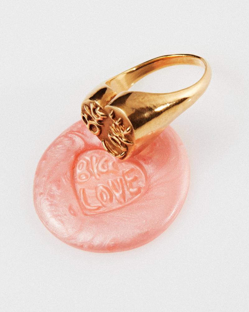 An image of the Violette Stehli Big Love signet ring shot by Elodie Farge