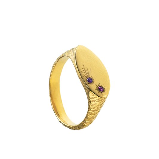  a delicate yet tough, handmade unisex ring for everyday wear. Made from Responsible Jewelry Council certified 18-karat gold and set with two precious stones. Violette Stehli.
