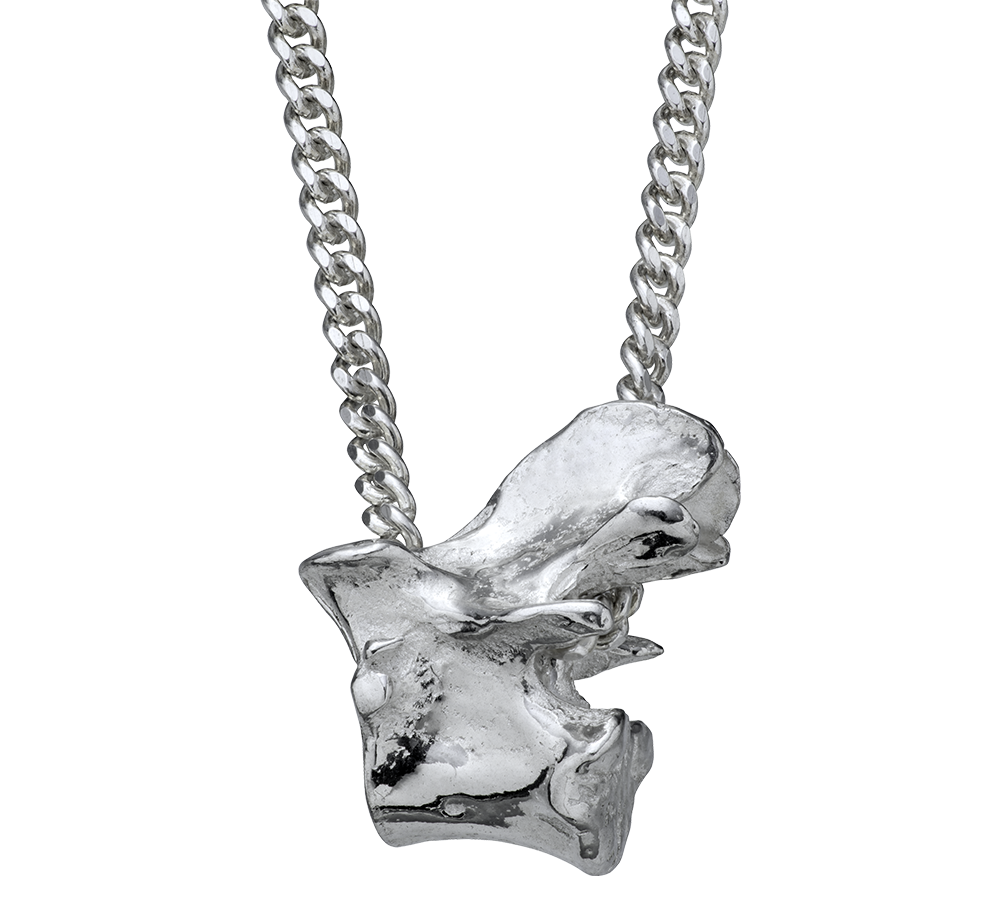 A sterling silver vertebra on a curb-link chain. Violette Stehli.