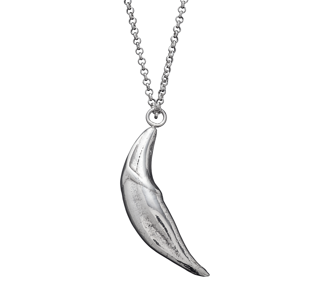 A sterling silver cast of a coyote fang made using the lost wax casting technique on a rolo-link chain by Violette Stehli.