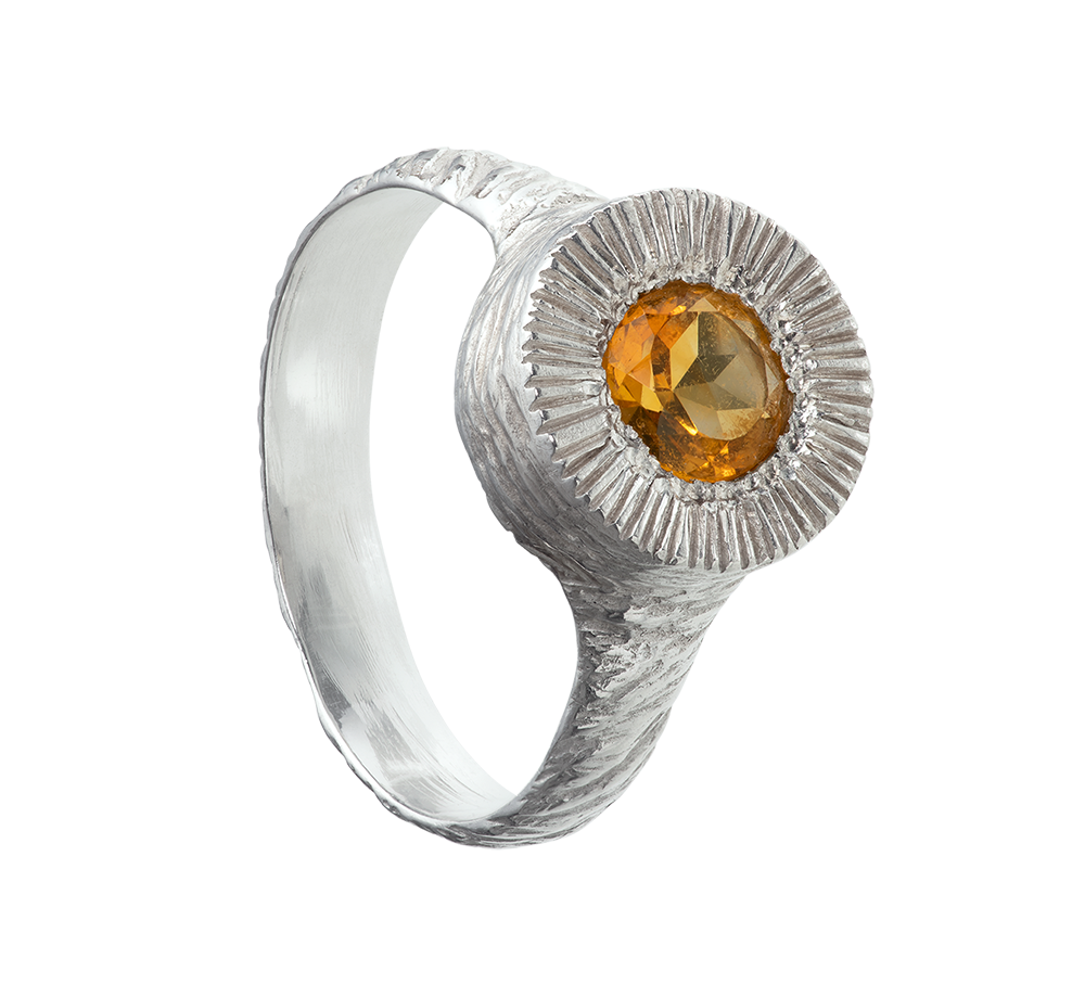 Parhelion Ring